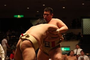 中央大学大学相撲部