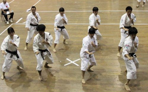 早稲田大学大学少林寺拳法部