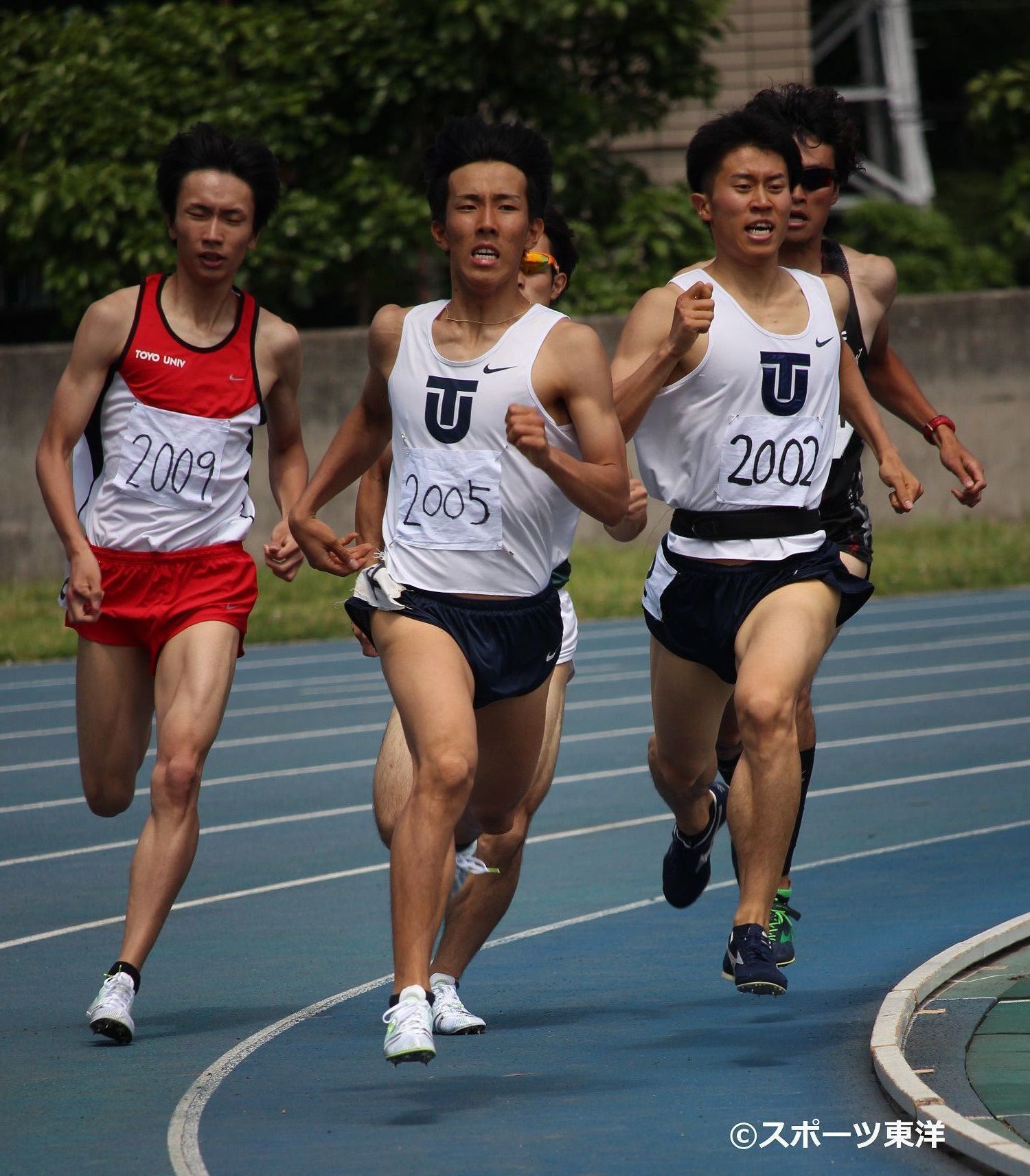 スポトウ｜東洋大学スポーツ新聞編集部 ニュース