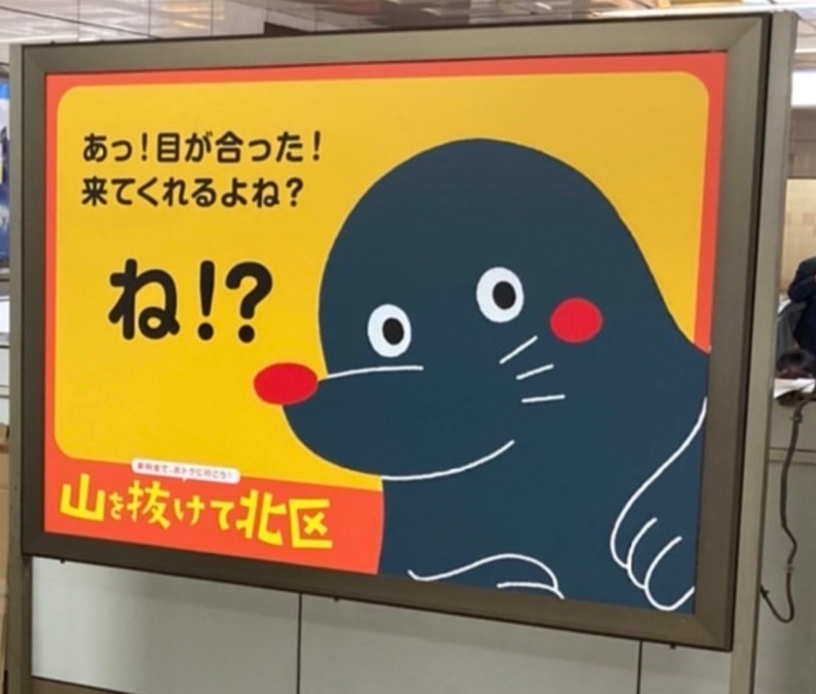 IMG_1722.jpeg